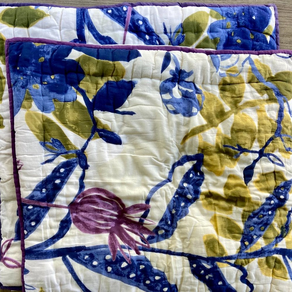 Anthropologie Multicolored Euro Pillow Shams, Set of 2